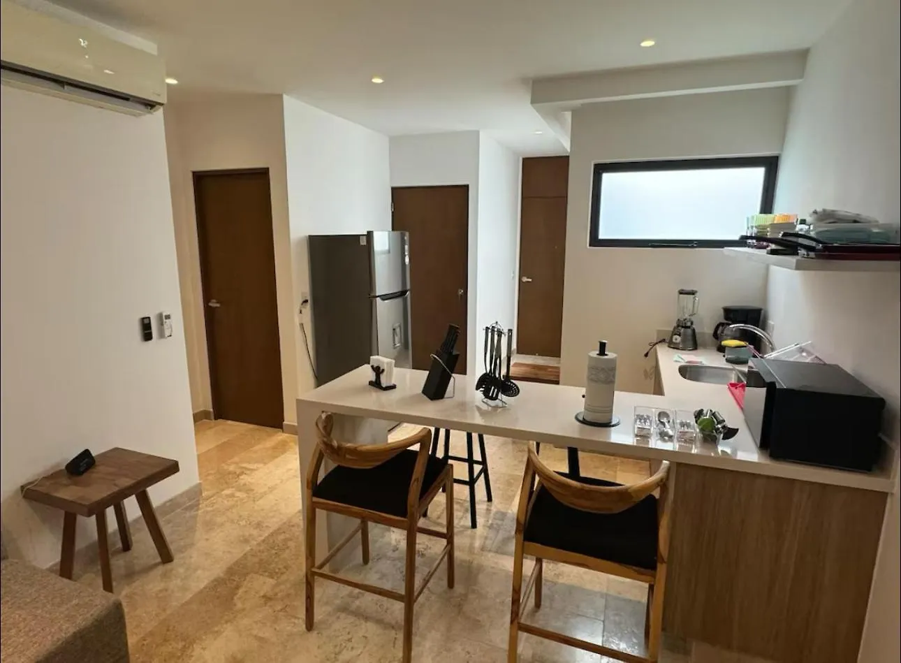Ipana Ph Luxury Apartment Playa del Carmen Mexico
